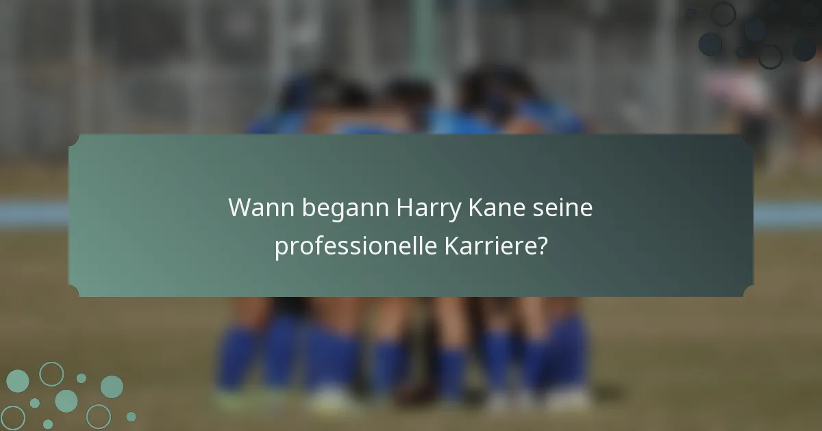 Wann begann Harry Kane seine professionelle Karriere?
