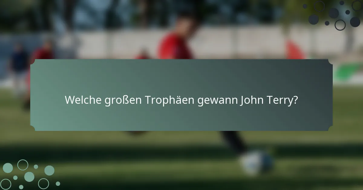 Welche großen Trophäen gewann John Terry?