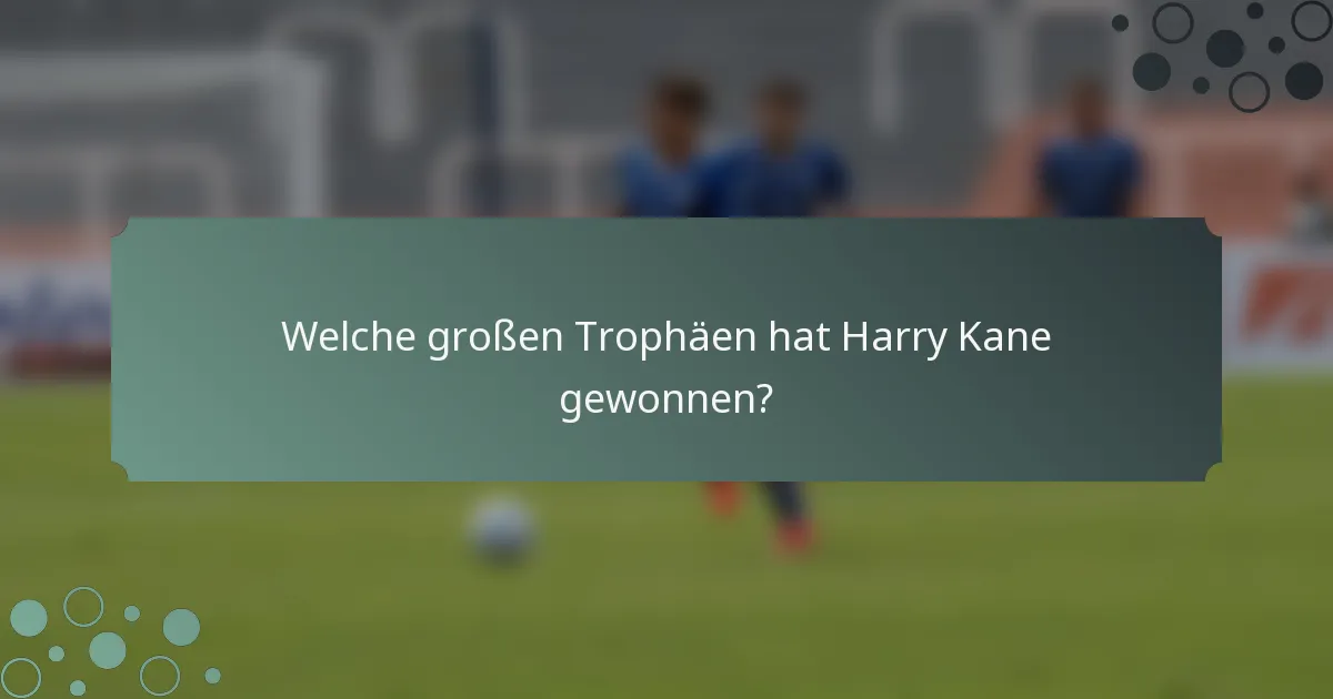 Welche großen Trophäen hat Harry Kane gewonnen?